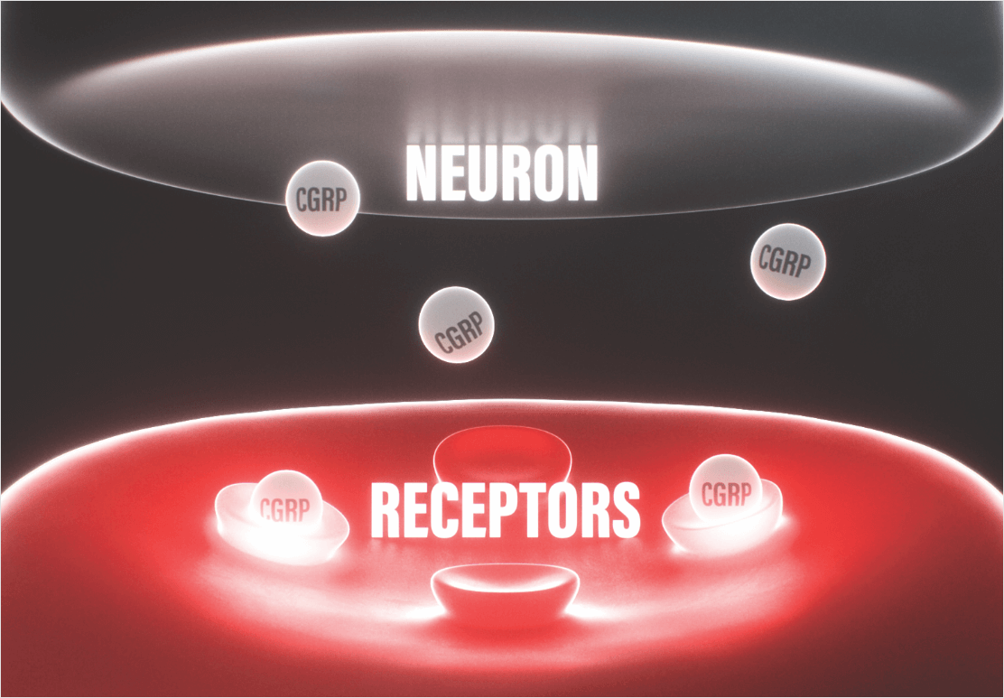 neuron receptors