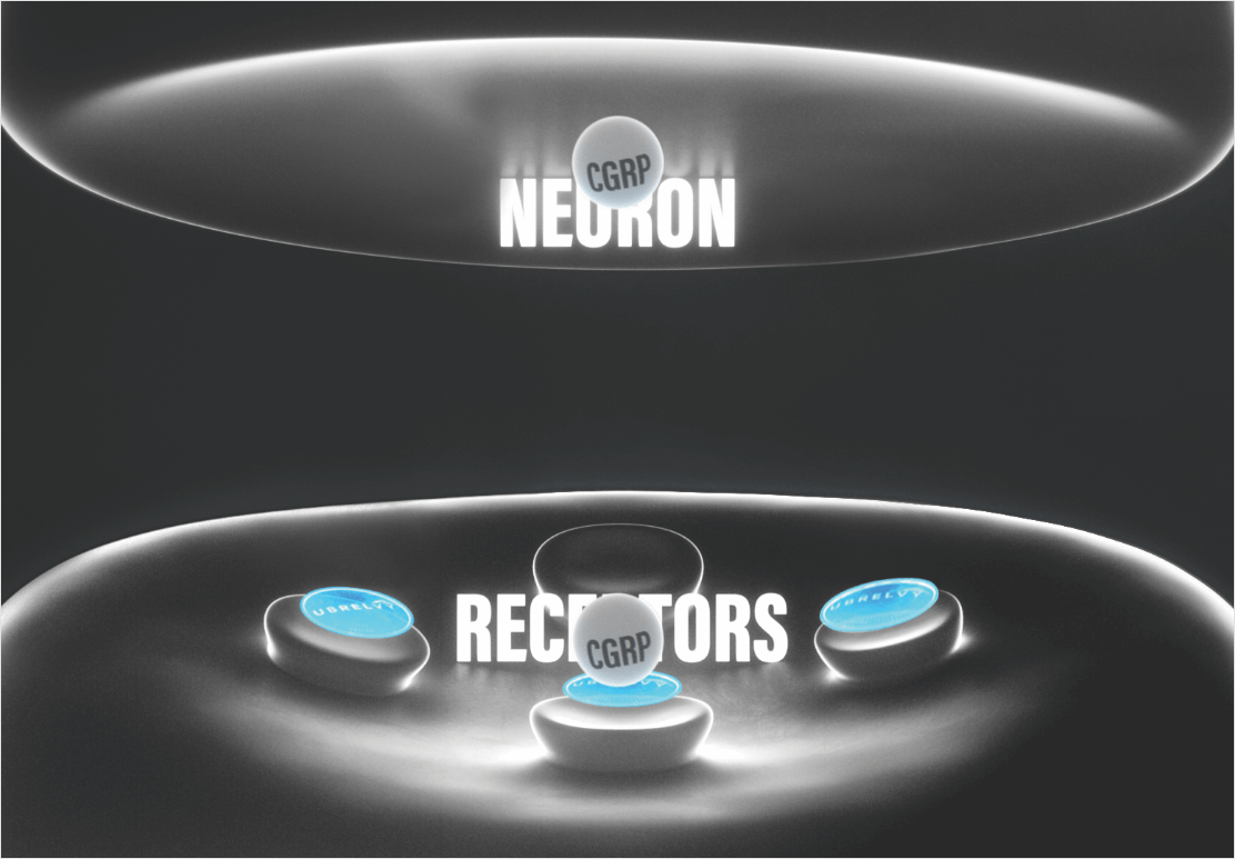 neuron receptors