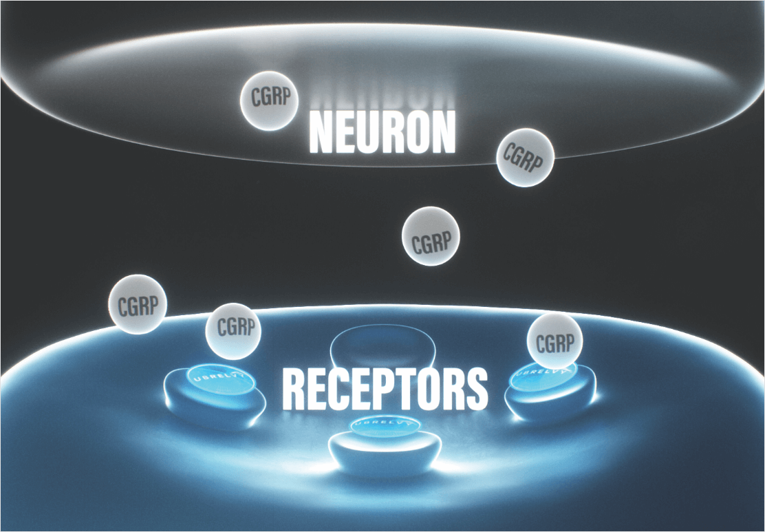 neuron receptors