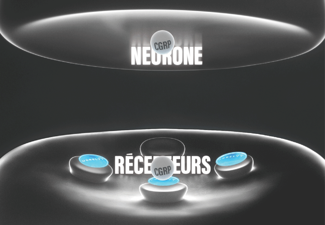 neuron receptors