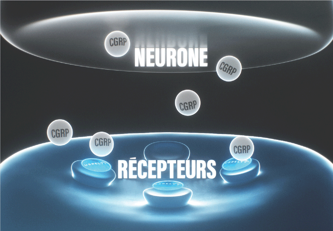 neuron receptors